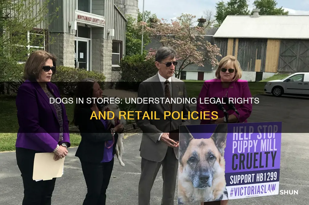 what are the laws regarding dogs in stores