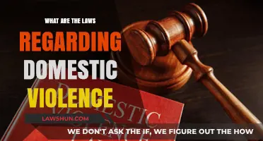 Understanding Domestic Violence Laws: Legal Protections and Rights Explained