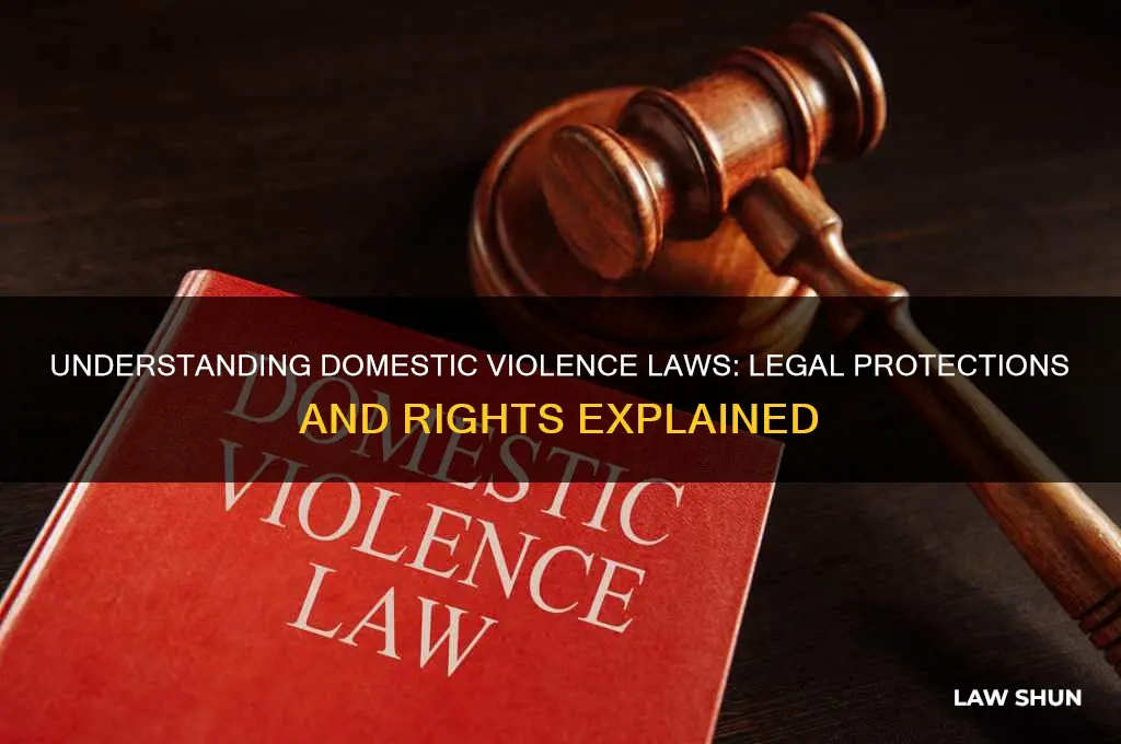 what are the laws regarding domestic violence