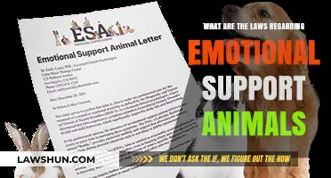 Understanding Emotional Support Animal Laws: Rights, Regulations, and Requirements