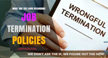 Understanding Job Termination Laws: Policies, Rights, and Legal Protections