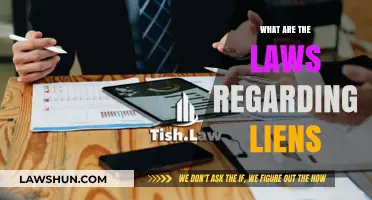 Understanding Lien Laws: A Comprehensive Guide to Legal Rights and Obligations