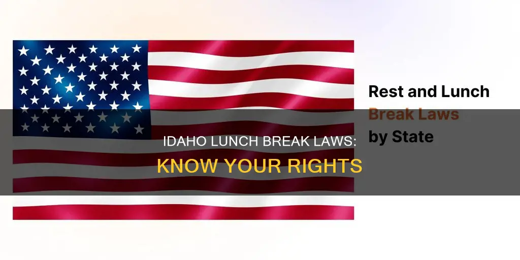 what are the laws regarding lunc breaks idaho