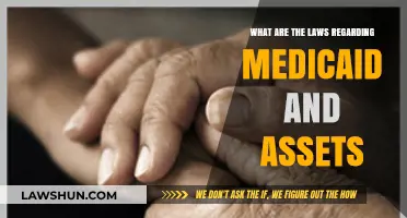Understanding Medicaid Asset Rules: Legal Guidelines for Eligibility and Protection