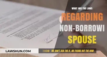 Understanding Non-Borrowing Spouse Rights: Key Legal Protections Explained