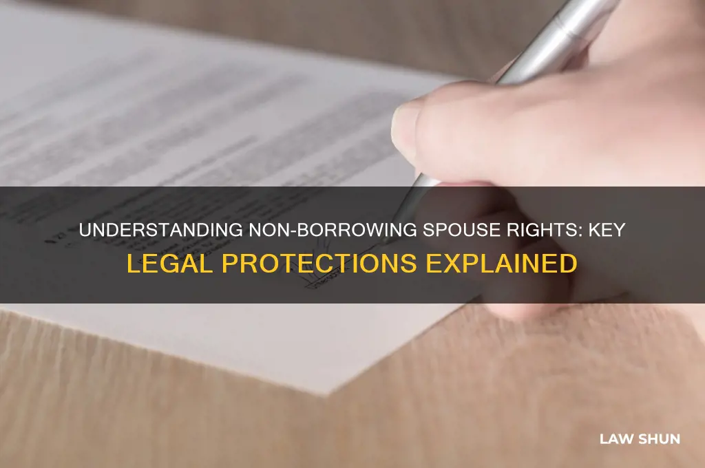 what are the laws regarding non-borrowing spouse