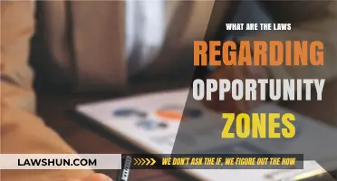 Understanding Opportunity Zones: Legal Frameworks and Investment Incentives Explained