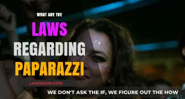 Understanding Paparazzi Laws: Rights, Limits, and Celebrity Privacy Protection