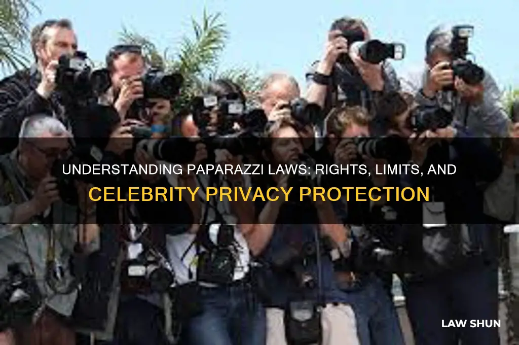 what are the laws regarding paparazzi