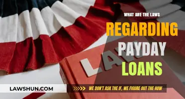 Understanding Payday Loan Laws: Regulations, Rights, and Repayment Rules
