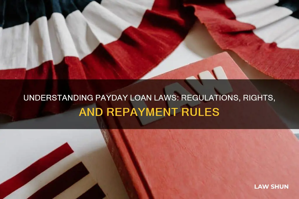 what are the laws regarding payday loans