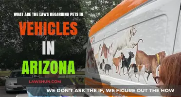 Arizona Pet Vehicle Laws: What Owners Need to Know