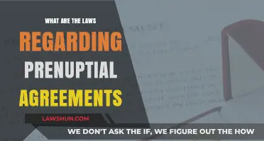 Understanding Prenuptial Agreements: Legal Essentials and State-Specific Laws