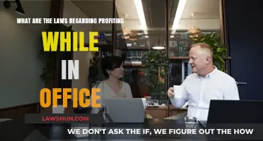 Profiting in Office: Understanding Legal Boundaries for Public Officials