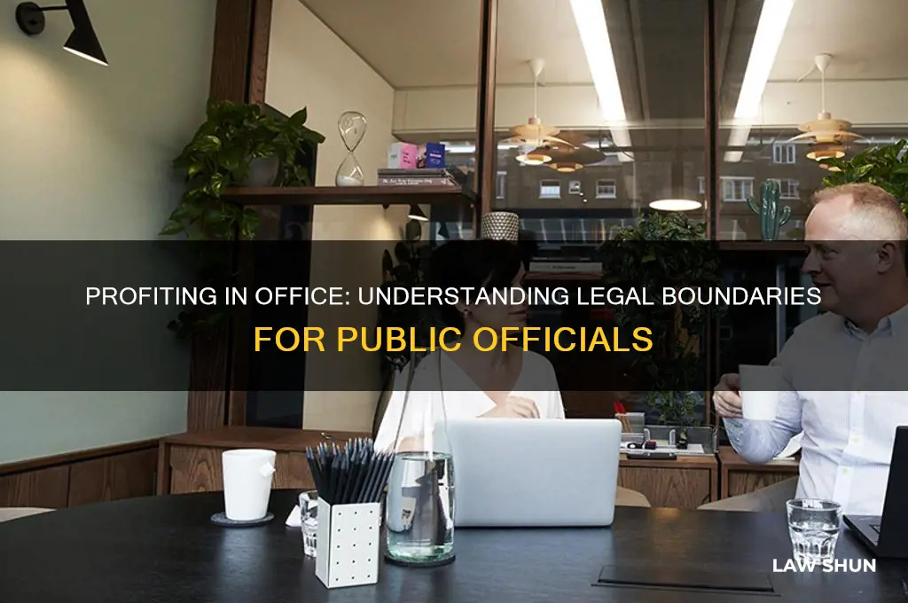 what are the laws regarding profiting while in office