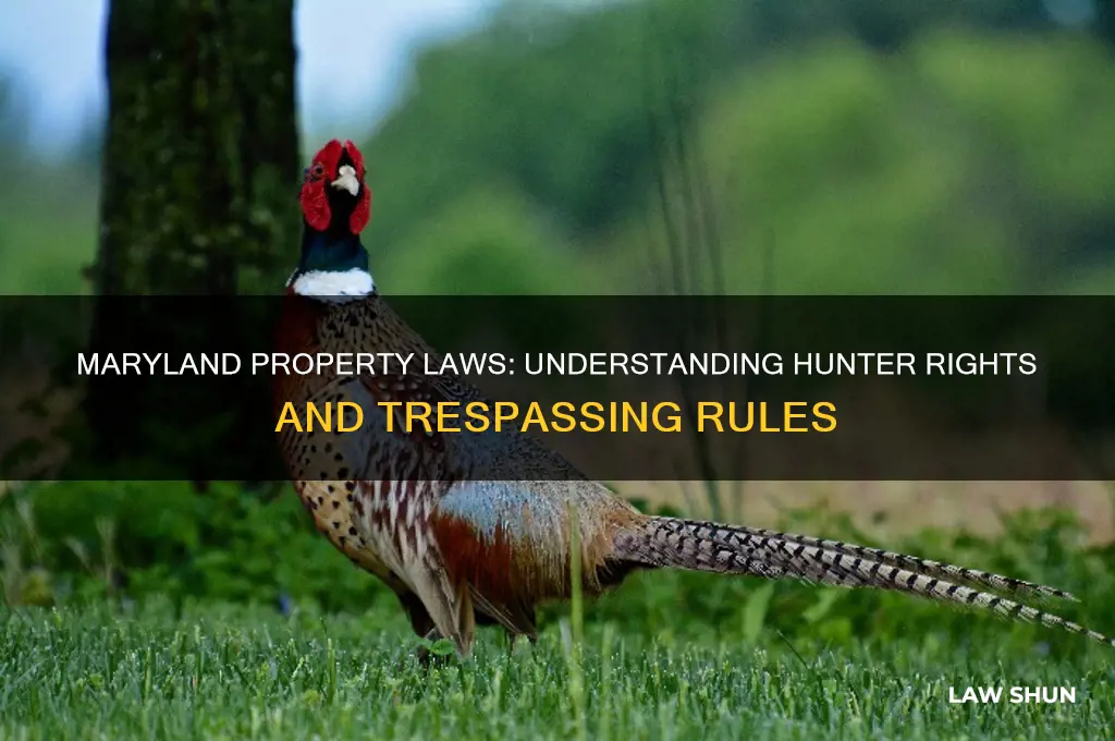 what are the laws regarding property and hunters in maryland