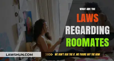Understanding Roommate Rights: Legal Guidelines for Shared Living Spaces
