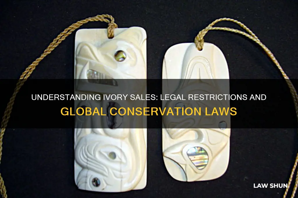 what are the laws regarding sell of ivory