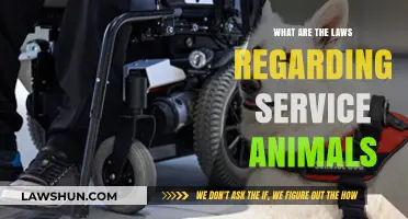 Understanding Legal Rights and Responsibilities for Service Animals in Public Spaces