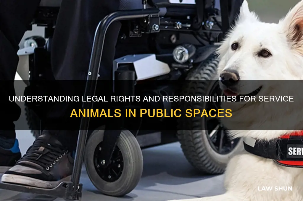 what are the laws regarding service animals