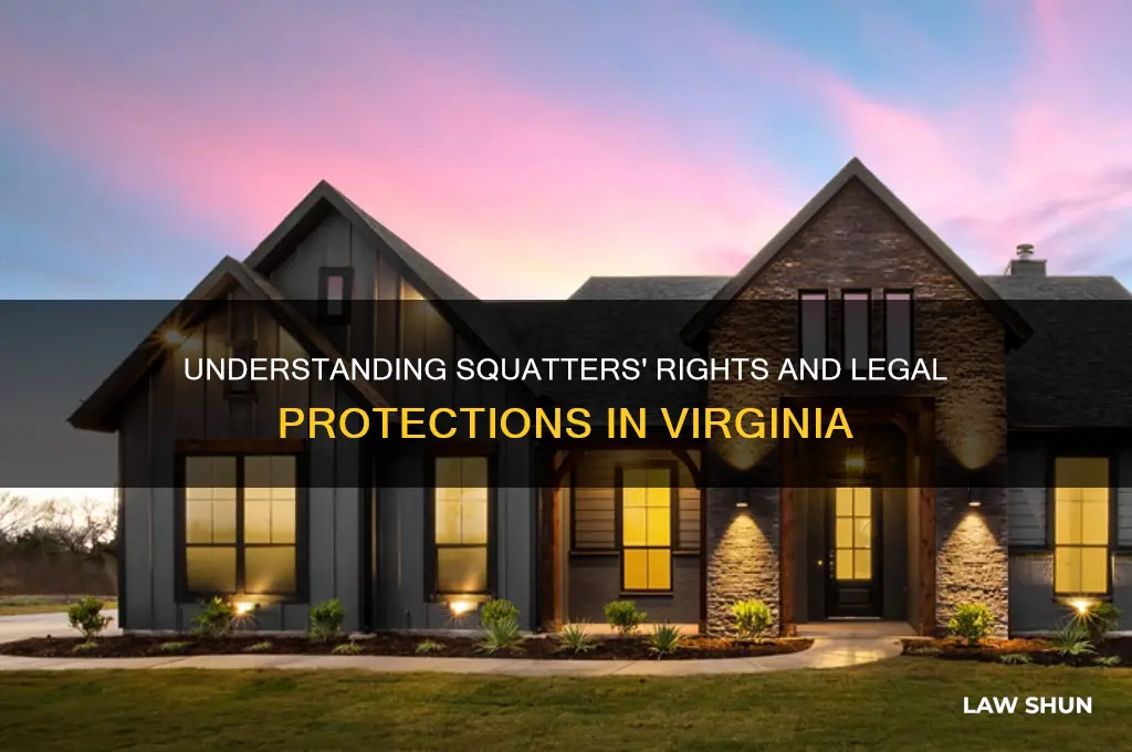 what are the laws regarding squatters in va