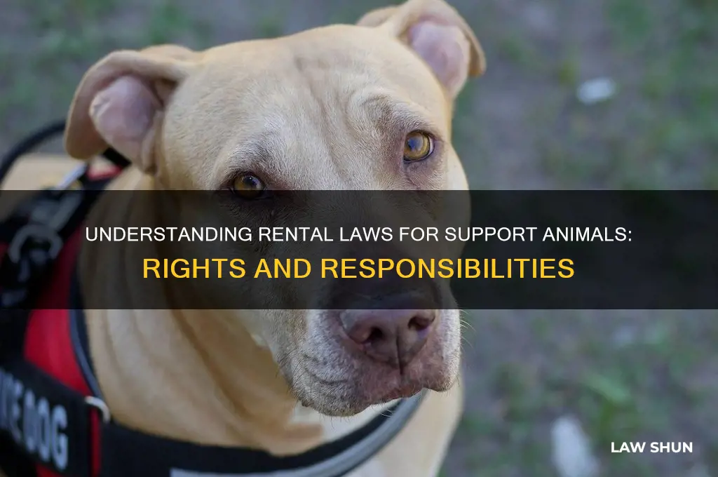 what are the laws regarding support animals in rentals