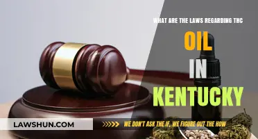 Kentucky THC Oil Laws: Understanding Legal Boundaries and Regulations
