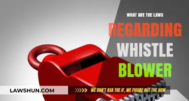 Whistleblower Laws: Understanding Protections and Rights for Reporting Wrongdoing