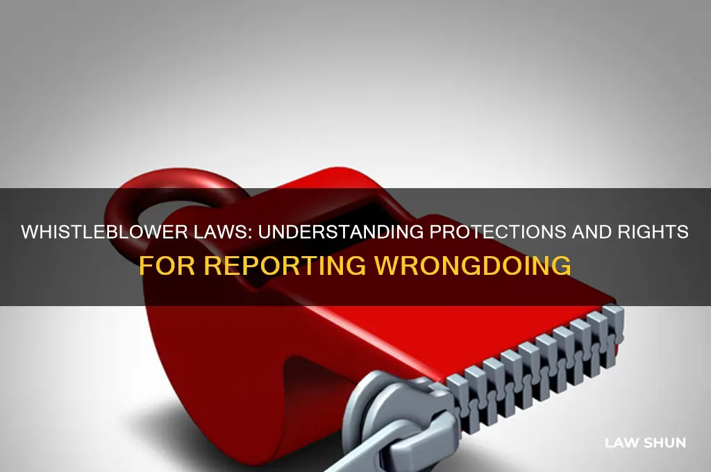 what are the laws regarding whistle blower