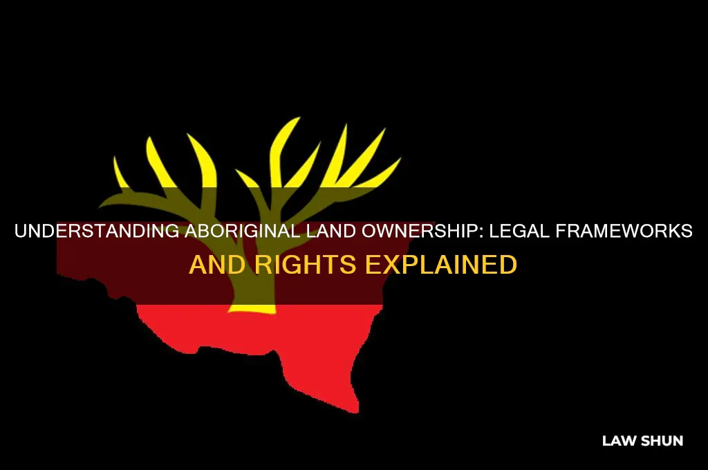 what are the laws regarding who may own aboriginal land