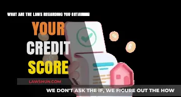 Understanding Your Rights: Laws for Obtaining Your Credit Score