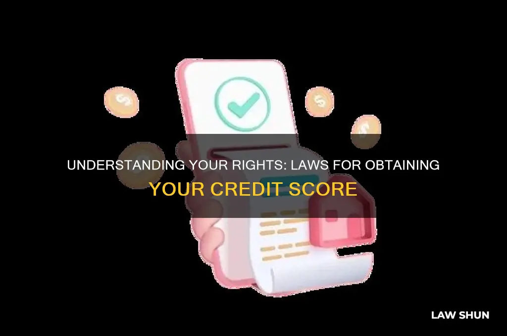 what are the laws regarding you obtaining your credit score