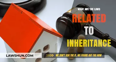 Understanding Inheritance Laws: Key Legal Principles for Estate Distribution