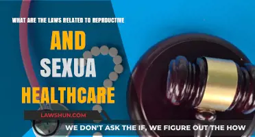 Understanding Reproductive and Sexual Healthcare Laws: Rights, Access, and Protections