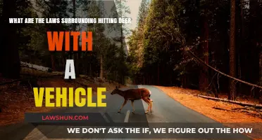 Deer-Vehicle Collisions: Understanding Legal Responsibilities and Consequences
