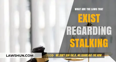 Understanding Stalking Laws: Legal Protections and Consequences Explained