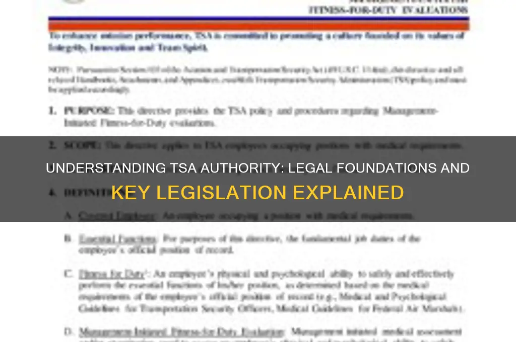 what are the laws that provide tsa with their authority