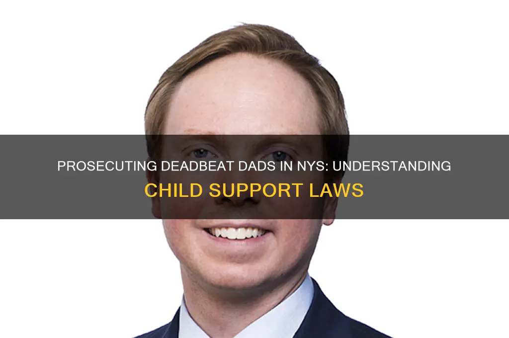 what are the laws to prosecute deadbeat dads in nys