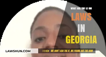 Understanding Georgia's Lemon Laws: Consumer Rights and Protections Explained