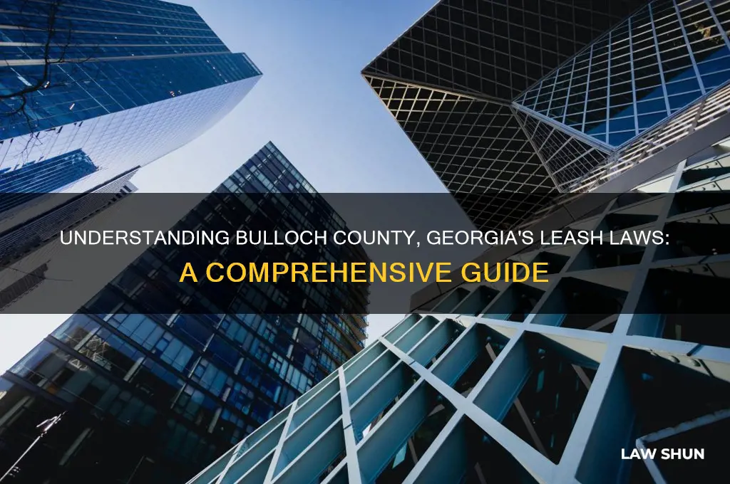 what are the leash laws in bulloch county georgia