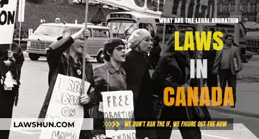 Canadian Abortion Laws: What You Need to Know