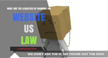 Understanding the Legal Boundaries of Online Shaming Under U.S. Law