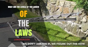 Understanding the Ladder of Laws: Exploring Its Levels and Significance