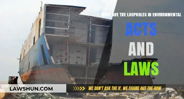 Exploitable Gaps in Environmental Laws: Uncovering Legal Loopholes