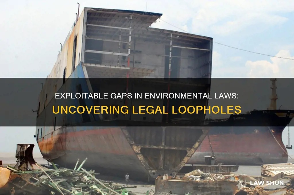 what are the loopholes in environmental acts and laws