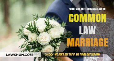 Louisiana's Stance on Common Law Marriage