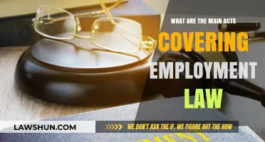 Key Employment Law Acts Every Employer and Employee Should Know