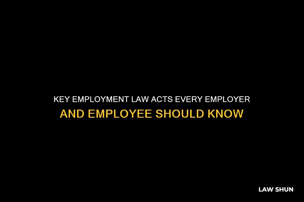 what are the main acts covering employment law