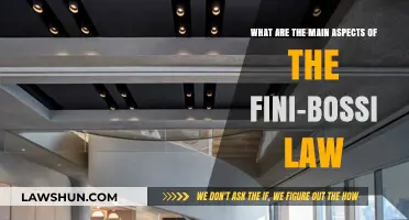 Understanding the Key Features of the Fini-Bossi Law