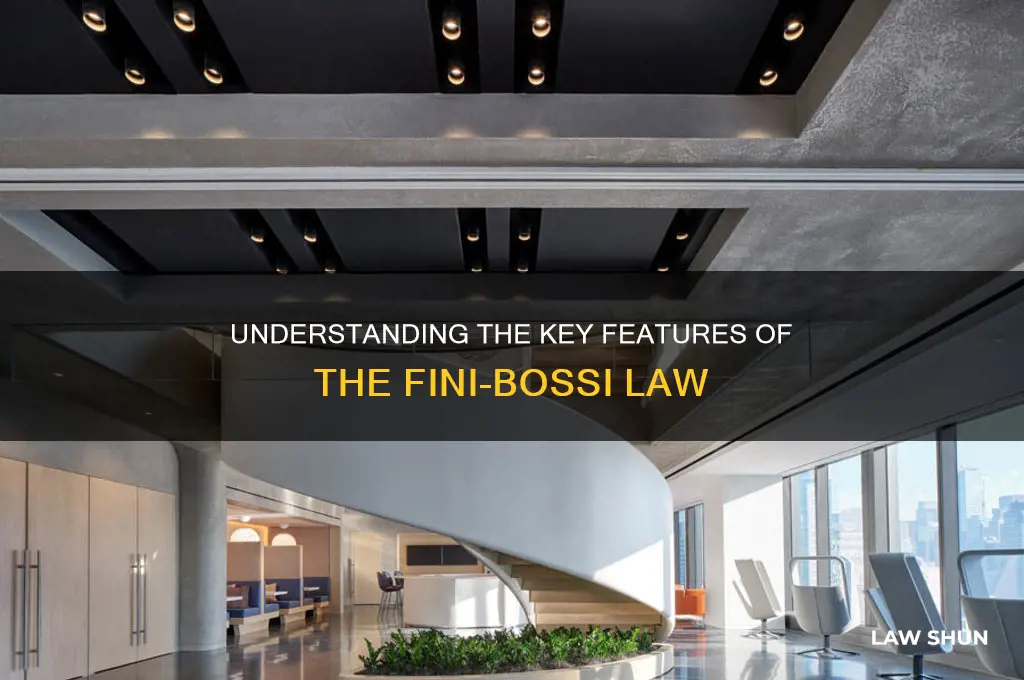 what are the main aspects of the fini-bossi law